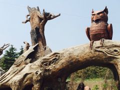 -太阳部落