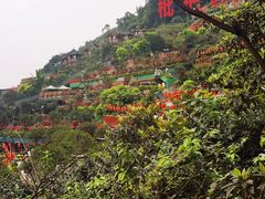 -枇杷园食为鲜火锅(南山店)