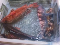 -沈家门海鲜夜排档(东港店)