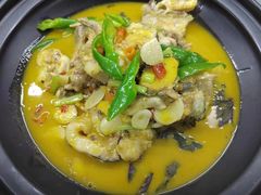 -饭怕鱼·黄焖鲟龙鱼(湖大店)