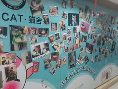 -lincat·猫舍(广州店)