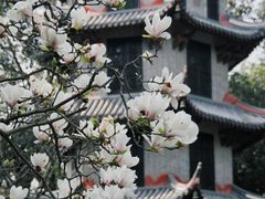 -成都杜甫草堂博物馆