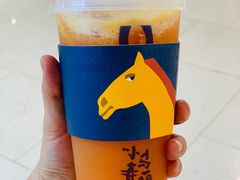 -春丽小马(济南恒隆广场店)