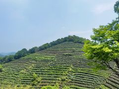 -西湖风景区十里琅珰-五云山