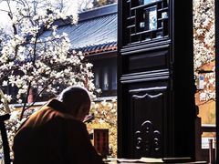 -灵谷景区