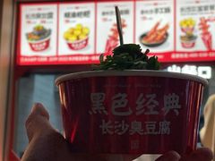 -黑色经典臭豆腐·湖南特产(坡子街店)