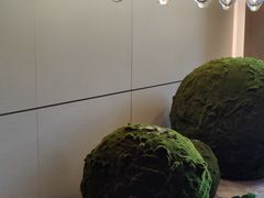 -深圳国际会展中心希尔顿酒店(前海华发冰雪世界店)