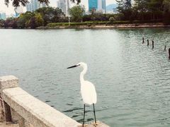 -白鹭洲公园