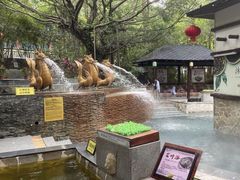 -嘉和K6温泉微度假