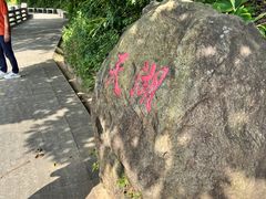-广州市帽峰山景区
