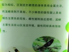 -上海昆虫博物馆