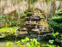 -深圳仙湖植物园