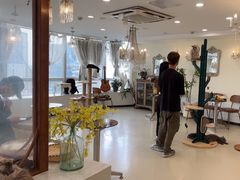 -共舞时光猫咖·狗咖(新街口店)