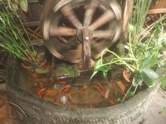 -庆合府重庆大排档(紫都城店)