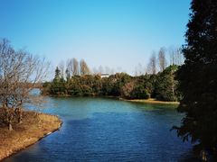 -上海海湾国家森林公园