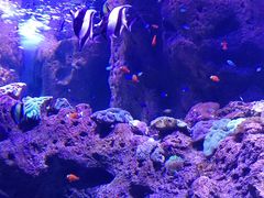 -波塞冬旅游度假区