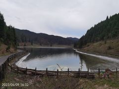 -武陵山森林公园