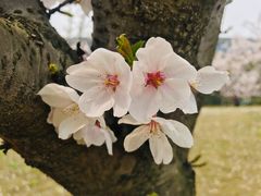 -同济大学(嘉定校区)