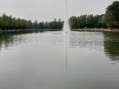 -森林公园(尖草坪区)
