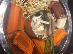 锅中锅（红油+菌菇）-大龙燚火锅(万象城店)
