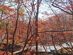 -丹东天桥沟景区