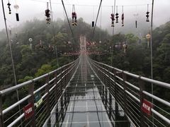 -九龙江国家森林公园