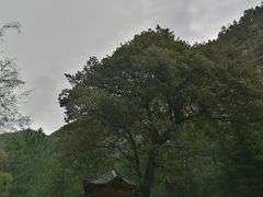 -卡定沟景区