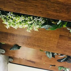 -ChuLian初莲日式美甲美睫