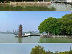 -无锡蠡湖国家湿地公园-蠡园