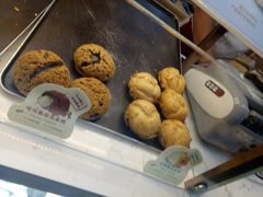 -西树泡芙(蓝色港湾店)