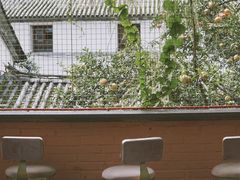 -喵屿·大理花园猫咖