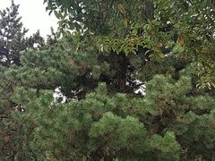 -陕西民俗大观园
