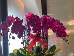 -喜湘宴·精致湖南菜(和平西桥店)