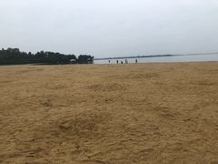 -瑶湖郊野森林公园