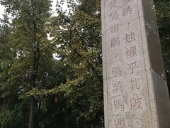 -西安汉城湖景区