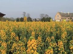 -中国天府农业博览园