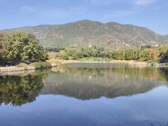 -国家植物园南园