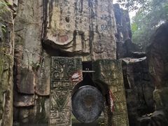 -铁山坪森林公园