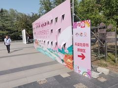 -太阳宫公园