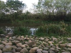 -新江湾城公园