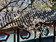 -京城小江南·北京烤鸭·江南土菜·白鱼(中关村店)