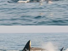 -涠洲岛南湾海洋运动公园