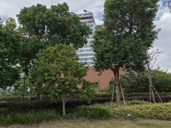 -丹东路渡口(轮渡站)