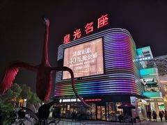 -金轮星光名座生活广场