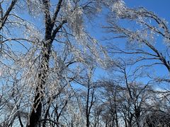 -中旅松花湖滑雪场