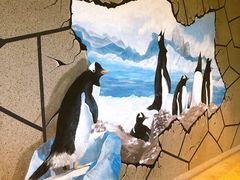 -帝企鹅自助餐厅•儿童岛•真企鹅(长隆企鹅酒店)