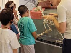 -国家自然博物馆