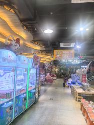 -卡通尼·Safari非洲探索乐园·生日会(金桥国际商业广场店)