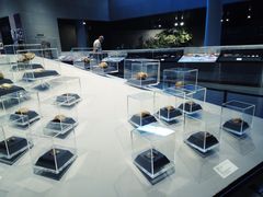 -北京周口店北京人遗址博物馆