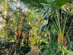 -北京植物园-展览温室